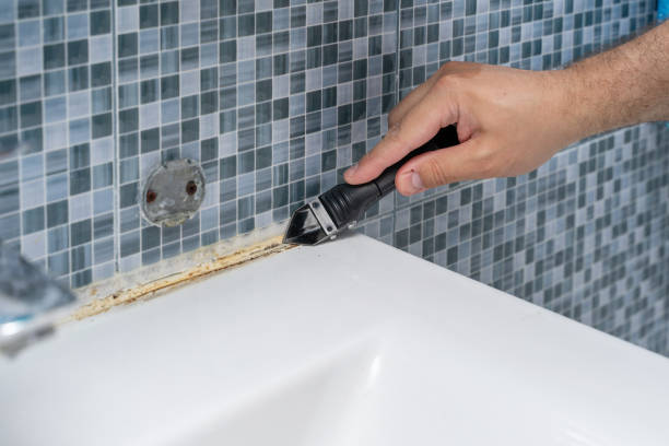 Best Mold Damage Repair  in Baldwinville, MA