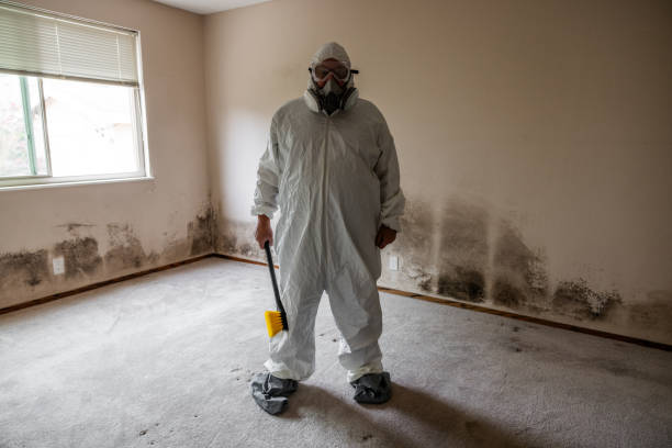 Mold Removal Process in Baldwinville, MA
